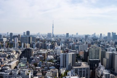 Tokyo, Japonya, 2 Kasım 2023: Tokyo Skytree ile gökyüzü manzarası