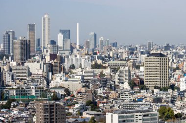 Tokyo, Japonya, 2 Kasım 2023: Tokyo Skyline Panoramik Manzarası