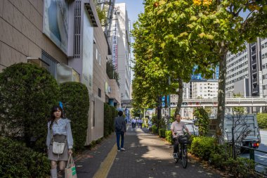 Tokyo, Japonya, 2 Kasım 2023: Meşgul Bölge 'de Yürüyen Kadın