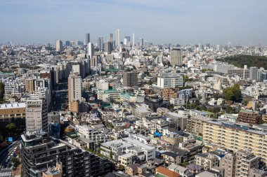 Tokyo, Japonya, 2 Kasım 2023: Açık bir günde Tokyo 'nun gökdelenleri ve konut binaları ile panoramik manzarası