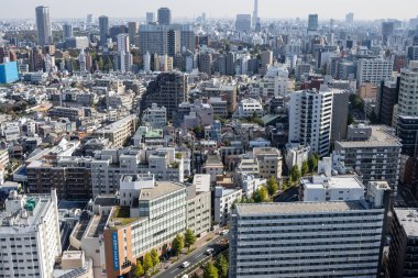 Tokyo, Japonya, 2 Kasım 2023: Tokyo 'da yoğun binalar bulunan havadan şehir manzarası