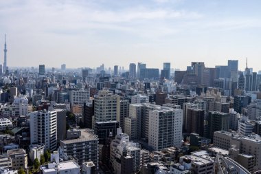 Tokyo, Japonya, 2 Kasım 2023: Tokyo Skyline 'ın Panoramik Manzarası Uzakta Tokyo Skytree Görünümü
