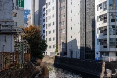 Tokyo, Japonya, 2 Kasım 2023: Tokyo 'da modern binalarla kanal kenarı geçidi