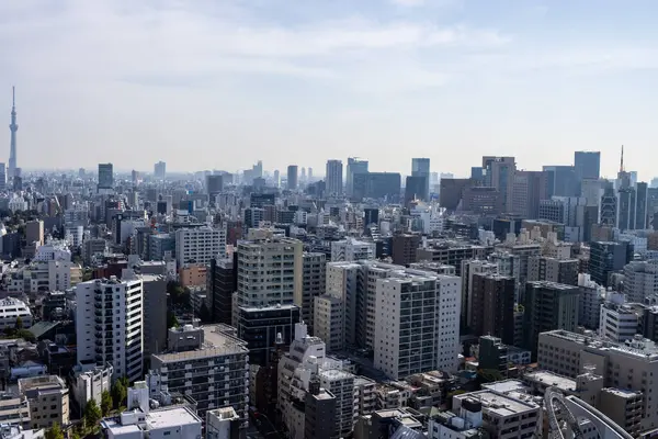 Tokyo, Japonya, 2 Kasım 2023: Tokyo Skyline 'ın Panoramik Manzarası Uzakta Tokyo Skytree Görünümü