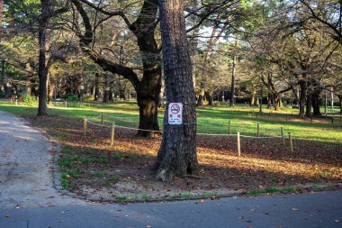 Tokyo, Japonya, 3 Kasım 2023: Parktaki bir ağaca Sigara İçilmez İşareti