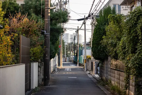 Tokyo, Japonya, 3 Kasım 2023: Lush Yeşillik ile Sessiz Konut Caddesi
