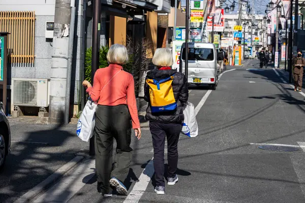 Tokyo, Japonya, 3 Kasım 2023: Şehirde birlikte yürüyen iki son sınıf öğrencisi