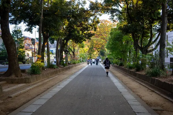 Tokyo, Japonya, 3 Kasım 2023: İnsanlar sonbaharda ağaçlarla kaplı bir caddede yürüyor