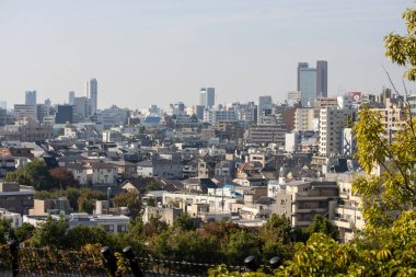 Tokyo, Japonya, 4 Kasım 2023: Tokyo Şehir Manzarası