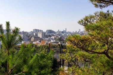 Tokyo, Japonya, 4 Kasım 2023: Yeşil Yeşiller Önplanlı Kentsel Panorama