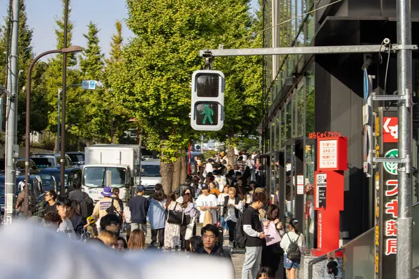 Tokyo, Japonya, 4 Kasım 2023: Yeşil ışıkta karşıya geçen yayalar