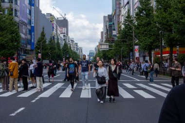 Tokyo, Japonya, 5 Kasım 2023: Shibuya 'da yaya geçidi yoğun.