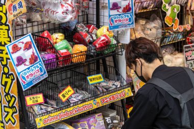 Tokyo, Japonya, 6 Kasım 2023: Alışverişçi bir mağazada anime ürünlerini izliyor