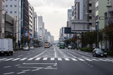 Tokyo, Japonya, 6 Kasım 2023: Trafik ve Pedestrian Crossing