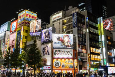 Tokyo, Japonya, 6 Kasım 2024: Gece Akihabara 'da Aydınlatılmış Billboard ve Reklamlar