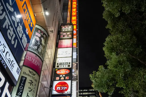 Tokio Japón Noviembre 2024 Vista Nocturna Los Letreros Anuncios Urbanos — Foto de Stock