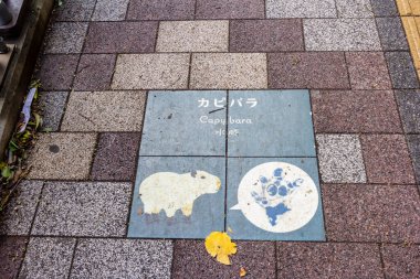 Tokyo, Japonya, 7 Kasım 2024: Capybara and Paw Print Art on Sidewalk Tile