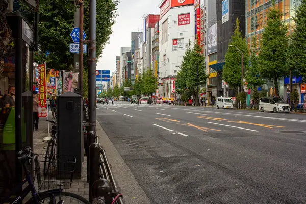 Tokyo, Japonya, 7 Kasım 2024: Ticari Billboardlar ve Yayalarla Şehir Sokak Sahnesi