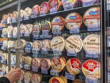 Fransa, 23 Mart 2024: Bir Dondurulmuş Bölümde Çeşitli Fransız Peynirleri Gösterildi