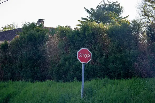 France March 2024 Stop Sign Amidst Lush Greenery Palm Trees — Stock Photo, Image