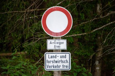Almanya, 10 Haziran 2024: Orman bölgesinde giriş işareti yok
