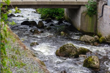 Almanya, 8 Haziran 2024: Yosun kayalarıyla dolu bir köprünün altında akan nehir