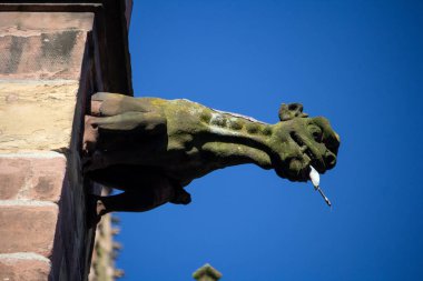 Almanya, 10 Haziran 2024: Katedral cephesinde Gargoyle