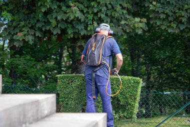 Almanya, 12 Haziran 2024: Parktaki çitleri budayan bahçıvan