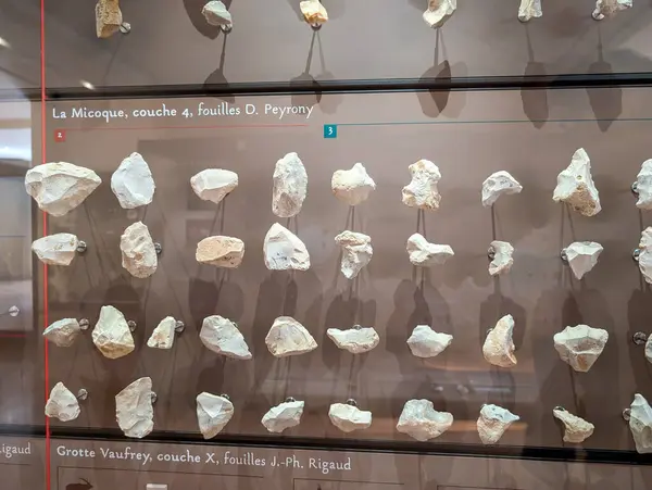 stock image France, 7, July, 2024: Prehistoric stone tools display in museum