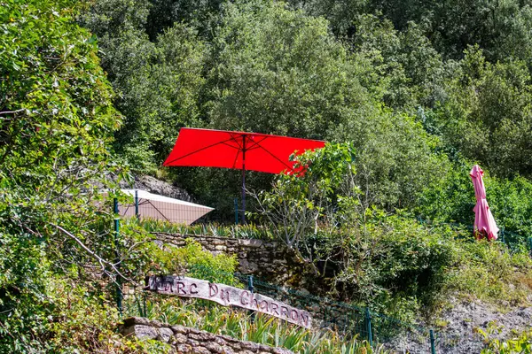 stock image France, 1 July 2024: Scenic view of park with red umbrellas and lush greenery