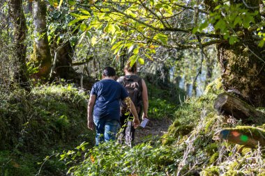 Fransa, 01 Kasım 2024: Beraberce yemyeşil bir orman yolunda yürüyen iki kişi