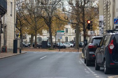 Fransa 'nın Dordogne caddesinde trafik ışığı ve sonbahar ağaçları