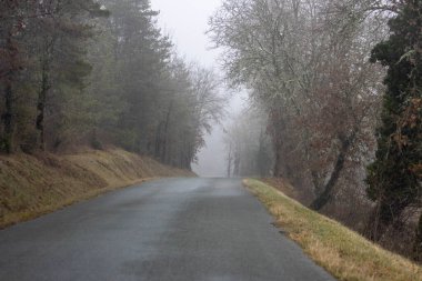 France, 31 December 2024 : Misty road winding through foggy forest under gray skies clipart