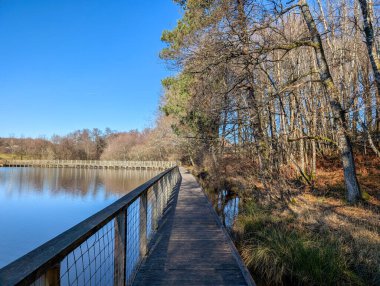 Fransa, 31 Aralık 2024: Berrak mavi gökyüzü altında sakin göl yolu