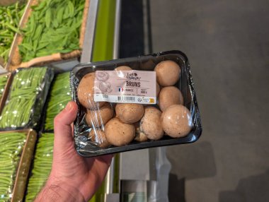 Fransa, 05 Mart 2025: Elde tutulan plastik kapta taze mantarlar