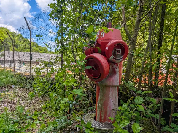 Fransa, 27 Nisan 2025: Kırmızı yangın musluğu ağaçların ve yeşilliklerin arasında saklanıyor