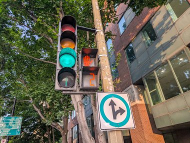 Quebec, Kanada, 05 Temmuz 2025: Ağaçlarla yeşil ışık ve kentsel kesişme binalar ve trafik sinyalleri