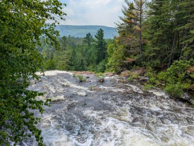 Quebec, Kanada, 15 Temmuz 2025: Kayalık kıyılardan akan sular yemyeşil ormanlara akıyor