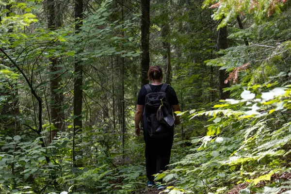 Kanada, 23 Temmuz 2025: Yeşil sükunetle çevrili gizli bir orman patikasında yalnızlığı keşfetmek