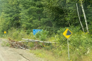 Kanada, 14 Ağustos 2025: Devrilen ağaç, hoş geldin işareti, toprak yol, heyelan ikazı, sık orman.