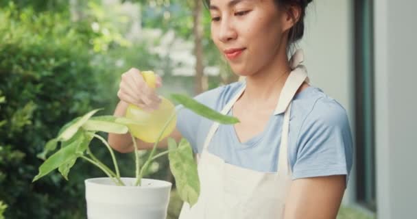 Fröhlich Fröhliche Asiatische Mädchen Tragen Schürze Gießpflanzen Topf Gemütlichen Heimischen — Stockvideo