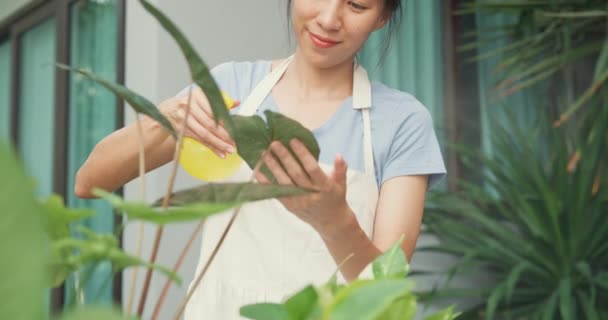 Neşeli Mutlu Asyalı Kız Rahat Bahçesinde Saksıda Önlük Suyu Bitkileri — Stok video