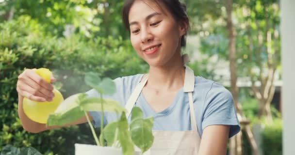 Glad Glad Asiatisk Flicka Bär Förkläde Vattning Växter Kruka Mysiga — Stockvideo