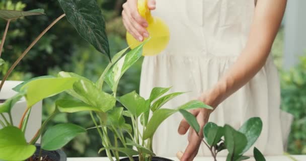 Yakın Plan Mutlu Asyalı Kız Bahçesindeki Çiçekleri Sularken Önlük Takıyor — Stok video