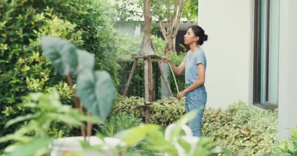 Alegre Chica Asiática Feliz Usar Camisa Azul Usar Manguera Jardín — Vídeos de Stock