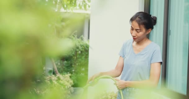 Alegre Feliz Asiático Menina Desgaste Azul Camisa Uso Jardim Mangueira — Vídeo de Stock