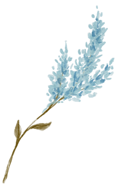 Bahar çiçekleri suluboya kırmızı ve sarı çiçekler açıyor.