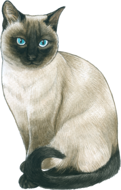 Kedi sever suluboya tapılası hayvan