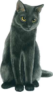 Kedi sever suluboya tapılası hayvan