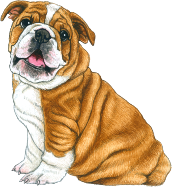 Köpek sever suluboya tapılası hayvan